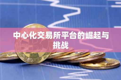 中心化交易所平台的崛起与挑战