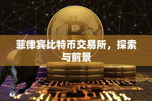 菲律宾比特币交易所，探索与前景