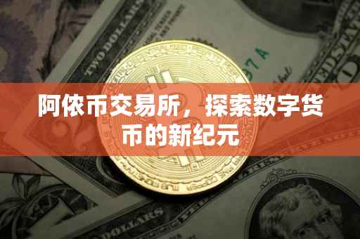阿侬币交易所，探索数字货币的新纪元