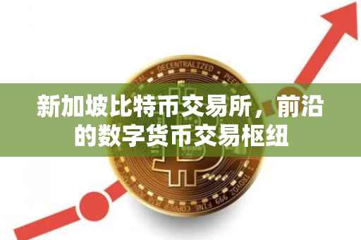 新加坡比特币交易所，前沿的数字货币交易枢纽