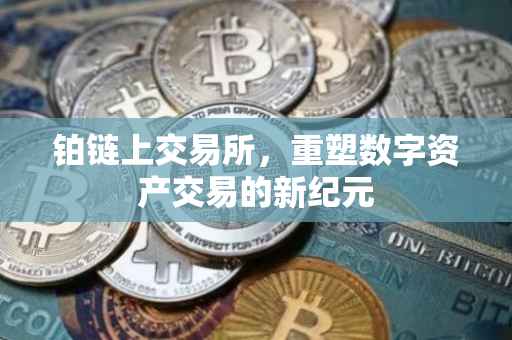 铂链上交易所，重塑数字资产交易的新纪元
