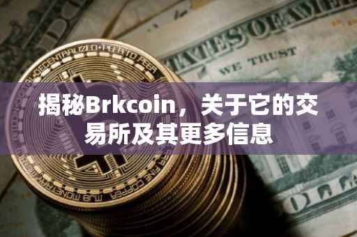 揭秘Brkcoin，关于它的交易所及其更多信息