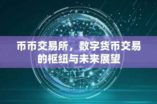 币币交易所，数字货币交易的枢纽与未来展望