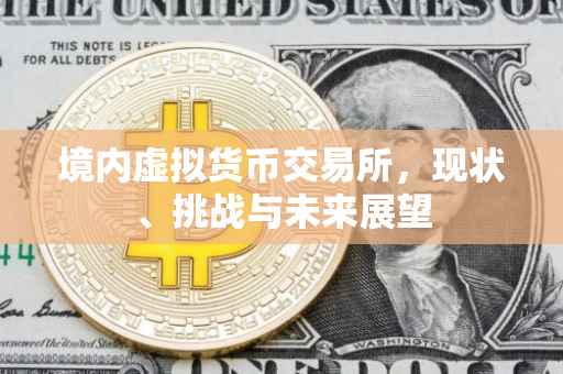 境内虚拟货币交易所，现状、挑战与未来展望