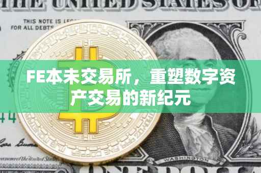 FE本未交易所，重塑数字资产交易的新纪元