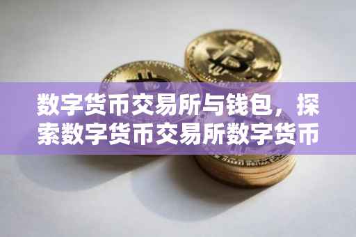 数字货币交易所与钱包，探索数字货币交易所数字货币钱包的发展与重要性