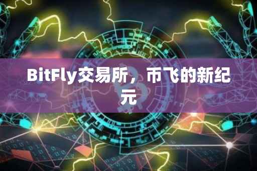 BitFly交易所，币飞的新纪元