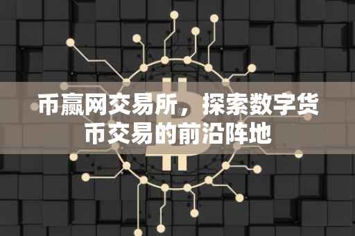 币赢网交易所，探索数字货币交易的前沿阵地