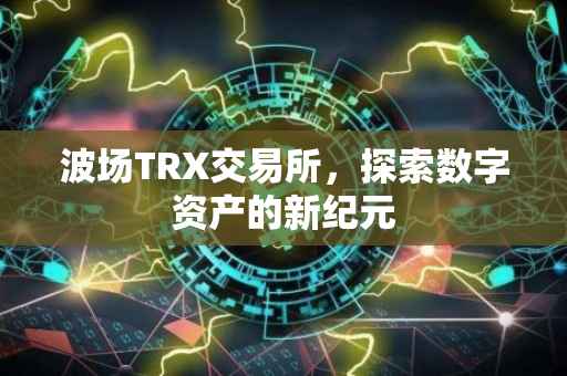 波场TRX交易所，探索数字资产的新纪元