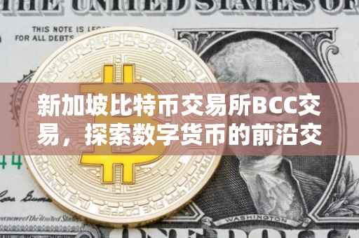 新加坡比特币交易所BCC交易，探索数字货币的前沿交易体验