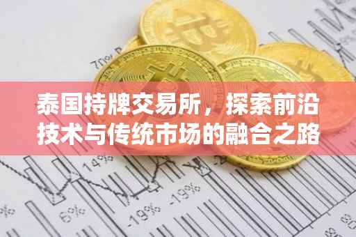 泰国持牌交易所，探索前沿技术与传统市场的融合之路