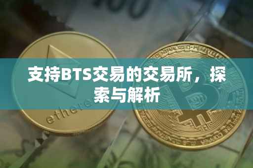 支持BTS交易的交易所，探索与解析