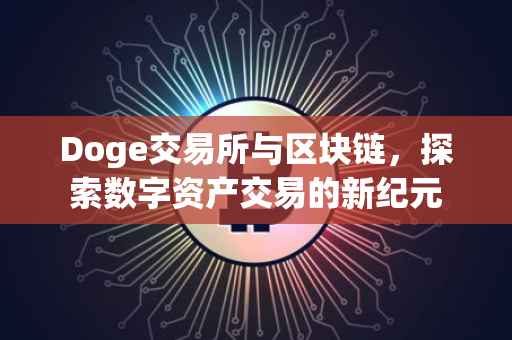 Doge交易所与区块链，探索数字资产交易的新纪元