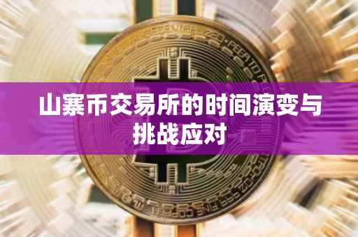 山寨币交易所的时间演变与挑战应对