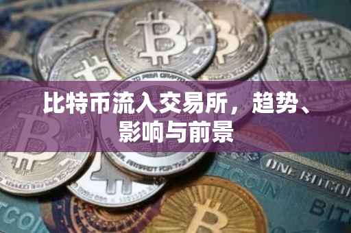 比特币流入交易所，趋势、影响与前景