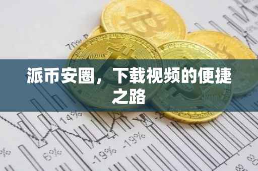 派币安圈，下载视频的便捷之路