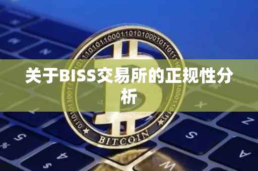 关于BISS交易所的正规性分析