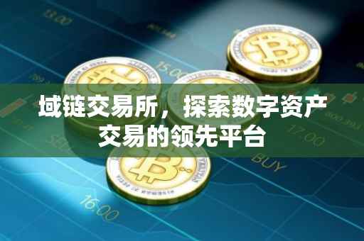 域链交易所，探索数字资产交易的领先平台