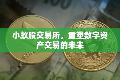 小蚁股交易所，重塑数字资产交易的未来