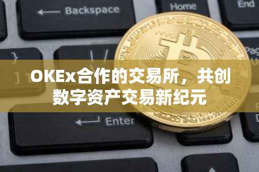 OKEx合作的交易所，共创数字资产交易新纪元