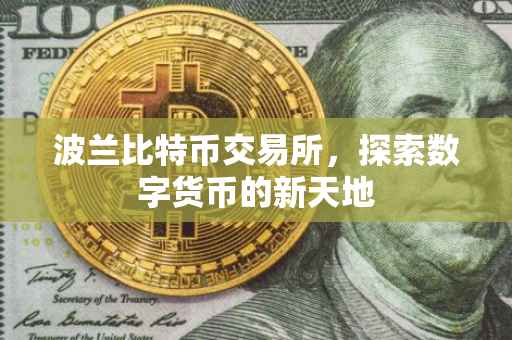 波兰比特币交易所，探索数字货币的新天地
