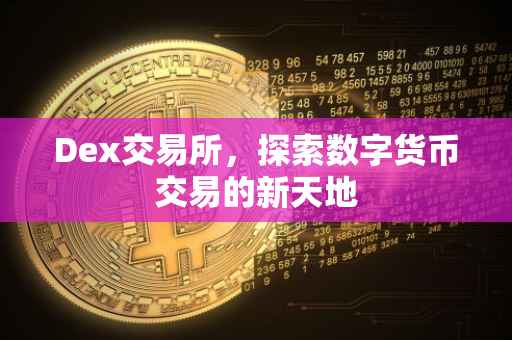 Dex交易所，探索数字货币交易的新天地