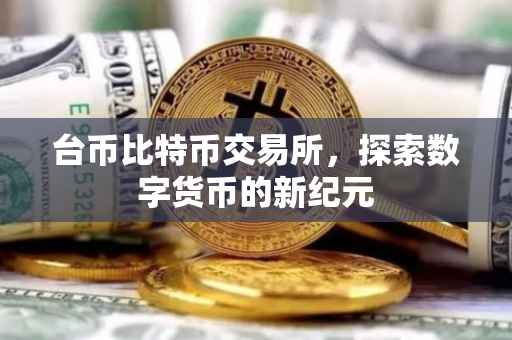 台币比特币交易所，探索数字货币的新纪元