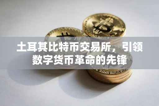 土耳其比特币交易所，引领数字货币革命的先锋