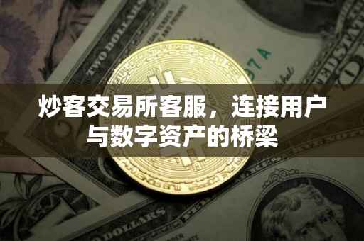 炒客交易所客服，连接用户与数字资产的桥梁