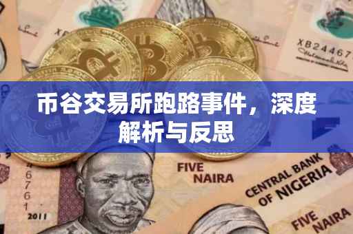 币谷交易所跑路事件，深度解析与反思