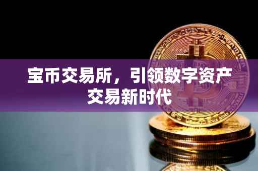 宝币交易所，引领数字资产交易新时代