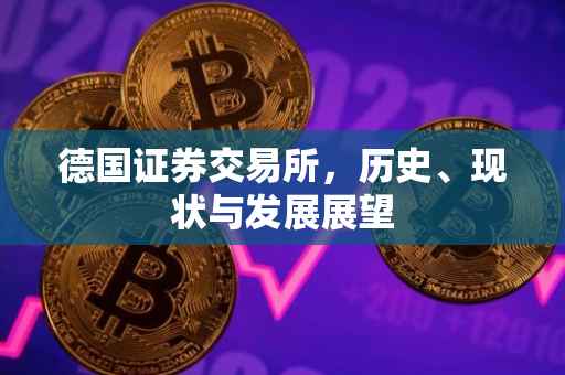 德国证券交易所，历史、现状与发展展望