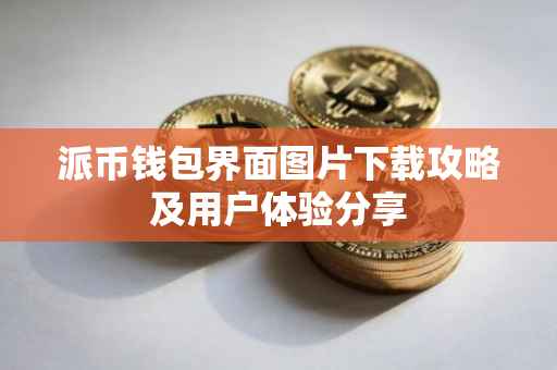 派币钱包界面图片下载攻略及用户体验分享