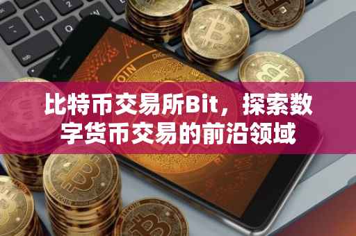 比特币交易所Bit，探索数字货币交易的前沿领域