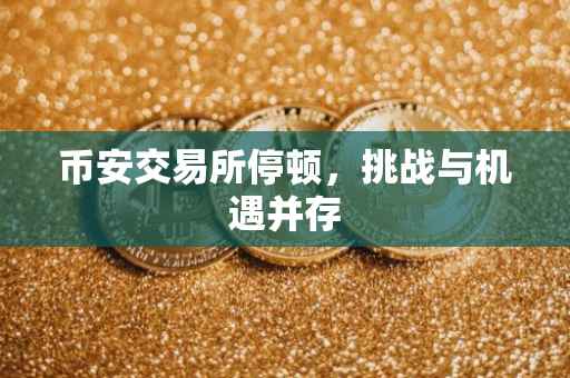 币安交易所停顿，挑战与机遇并存