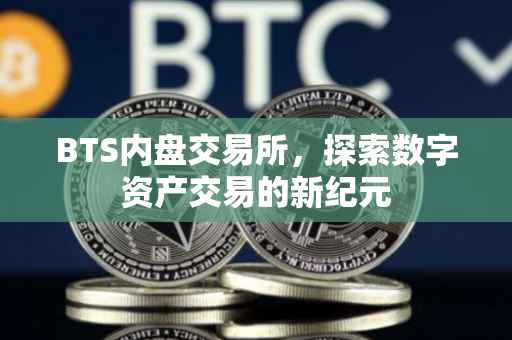 BTS内盘交易所，探索数字资产交易的新纪元