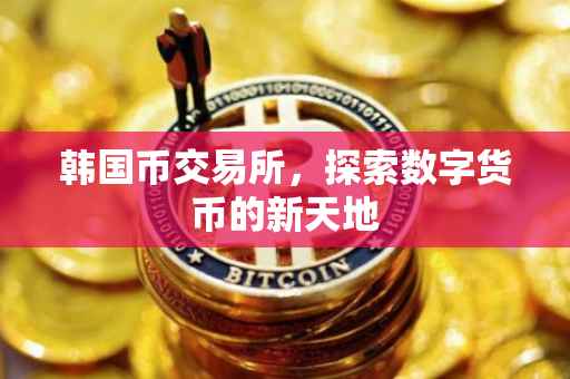 韩国币交易所，探索数字货币的新天地