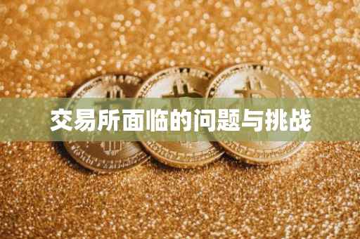 交易所面临的问题与挑战