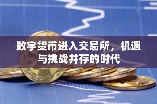 数字货币进入交易所，机遇与挑战并存的时代