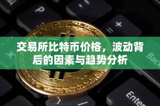 交易所比特币价格，波动背后的因素与趋势分析
