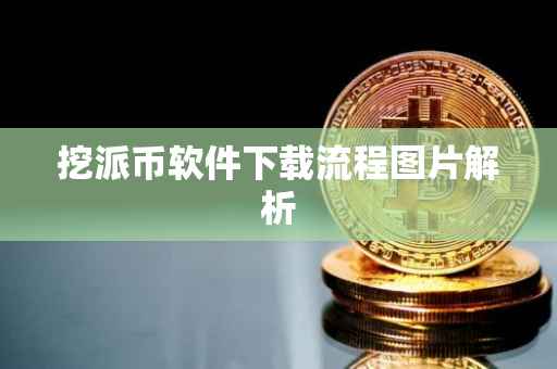挖派币软件下载流程图片解析