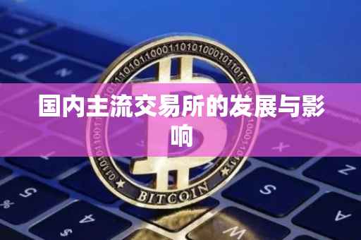 国内主流交易所的发展与影响