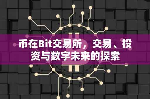 币在Bit交易所，交易、投资与数字未来的探索