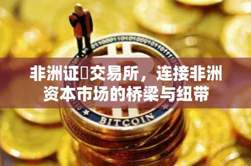 非洲证劵交易所，连接非洲资本市场的桥梁与纽带