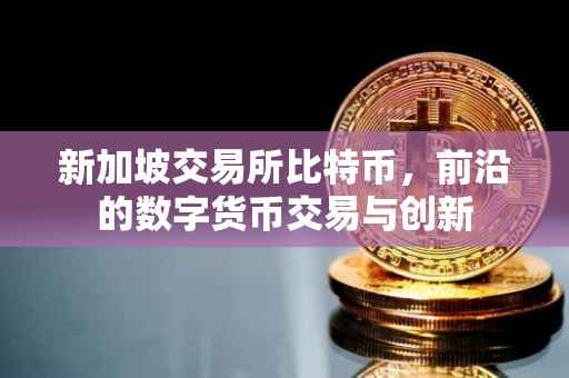 新加坡交易所比特币，前沿的数字货币交易与创新