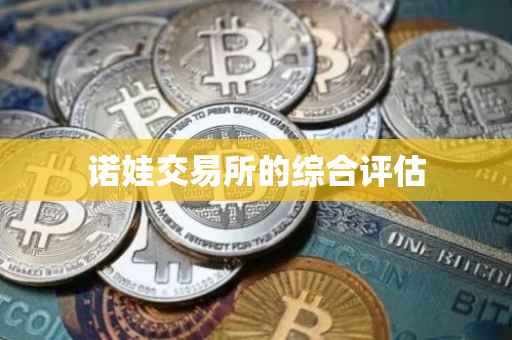 诺娃交易所的综合评估