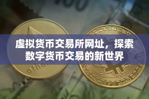 虚拟货币交易所网址，探索数字货币交易的新世界