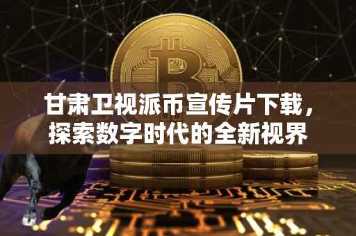 甘肃卫视派币宣传片下载，探索数字时代的全新视界