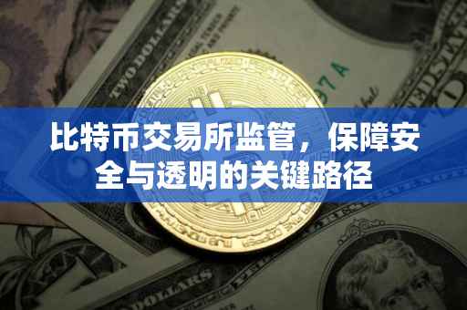 比特币交易所监管，保障安全与透明的关键路径