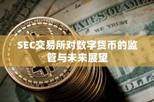 SEC交易所对数字货币的监管与未来展望
